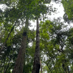 Ngao Waterfall - Ranong
