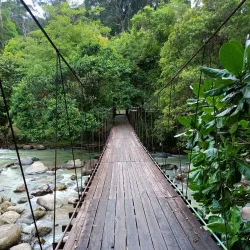 Raksawarin Hot Springs - Ranong