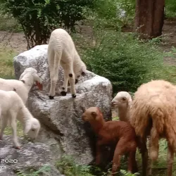 Tham Khao Bin Cave - Ratchaburi