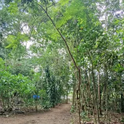 Wat Pa Anantaram - Roi Et