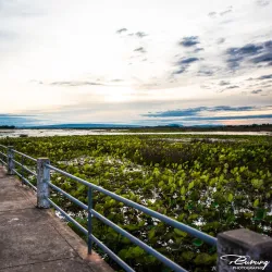 Nong Han Lake - Sakon Nakhon