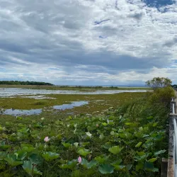 Nong Han Lake - Sakon Nakhon