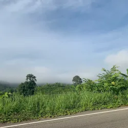 Phu Pha Yon National Park - Sakon Nakhon