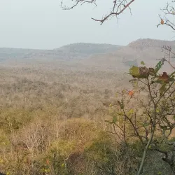 Phu Pha Yon National Park - Sakon Nakhon