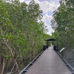 Laem Phak Bia Royal Project - Samut Sakhon