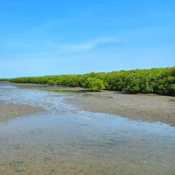 Laem Phak Bia Royal Project - Samut Sakhon