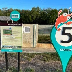 Laem Phak Bia Royal Project - Samut Sakhon