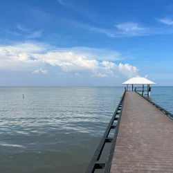 Laem Phak Bia Royal Project - Samut Sakhon