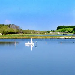 Laem Phak Bia Royal Project - Samut Sakhon