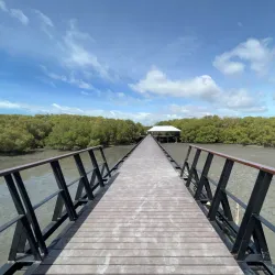 Laem Phak Bia Royal Project - Samut Sakhon