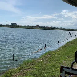 Laem Phak Bia Royal Project - Samut Sakhon