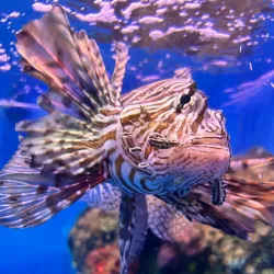 Samut Sakhon Cultural Center - Samut Sakhon