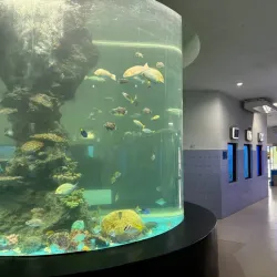 Samut Sakhon Cultural Center - Samut Sakhon