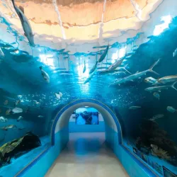 Samut Sakhon Cultural Center - Samut Sakhon