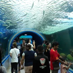 Samut Sakhon Cultural Center - Samut Sakhon