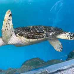 Samut Sakhon Cultural Center - Samut Sakhon