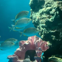 Samut Sakhon Cultural Center - Samut Sakhon