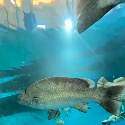 Samut Sakhon Cultural Center - Samut Sakhon