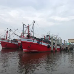 Tha Chalom Waterfront - Samut Sakhon