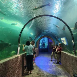 Si Sa Ket National Museum - Si Sa Ket