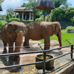 Songkhla Zoo - Songkhla