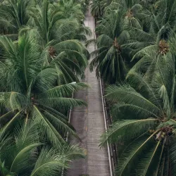 Koh Phangan - Surat Thani