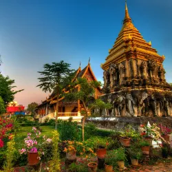 Koh Samui - Surat Thani