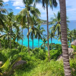 Koh Tao - Surat Thani
