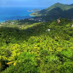 Koh Tao - Surat Thani