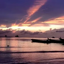 Koh Tao - Surat Thani
