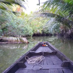Tapee River - Surat Thani