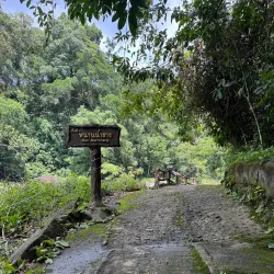 Khao Luang National Park - Thung Song