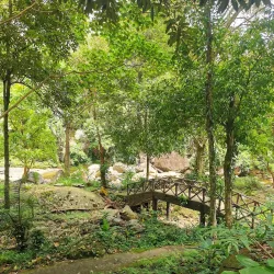 Khao Luang National Park - Thung Song