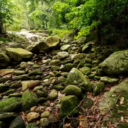 Khao Luang National Park - Thung Song