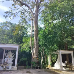 Namtok Ton Nga Chang (Ton Nga Chang Waterfall) - Thung Song