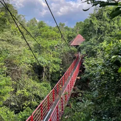 Thung Kai Botanical Garden - Trang