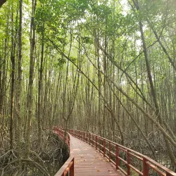 Ban Nam Chiao Community - Trat