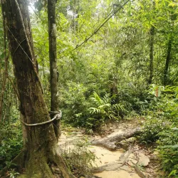 Khlong Yai Kee Waterfall - Trat