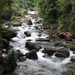 Mu Ko Chang National Park - Trat