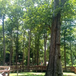 Nam Pat National Park - Uttaradit