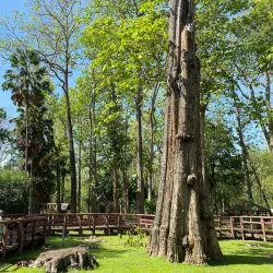 Nam Pat National Park - Uttaradit