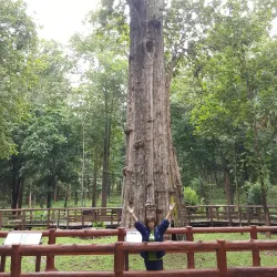 Nam Pat National Park - Uttaradit