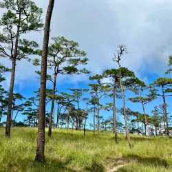 Phu Soi Dao National Park - Uttaradit