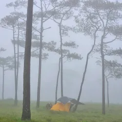 Phu Soi Dao National Park - Uttaradit