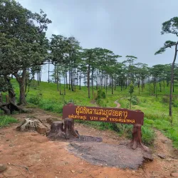 Phu Soi Dao National Park - Uttaradit