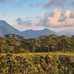 Phu Soi Dao National Park - Uttaradit