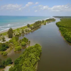 Auba Coastal Mangrove Reserve - Auba