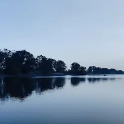 Auba Coastal Mangrove Reserve - Auba