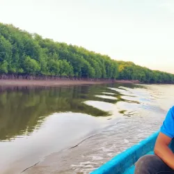 Auba Coastal Mangrove Reserve - Auba