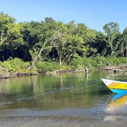 Auba Coastal Mangrove Reserve - Auba